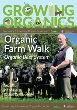 Pat Maher – Growing Organics Farm Walk