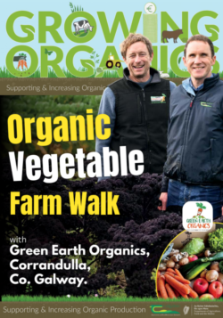 Green Earth Organics – Growing Organics Vegetable Farm Walk