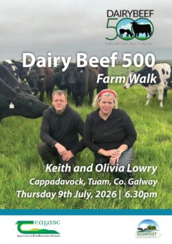 Keith and Olivia Lowry – DairyBeef 500 Farm Walk