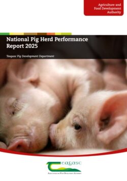 National Pig Herd Performance Report 2025
