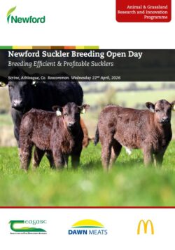 Newford Suckler Breeding Open Day 2026