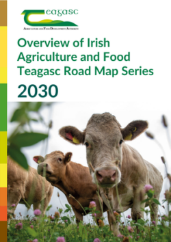 Teagasc Road Map Series 2030 – Overview of Irish Agriculture and Food