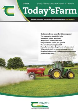 Today’s Farm January – February – March 2026