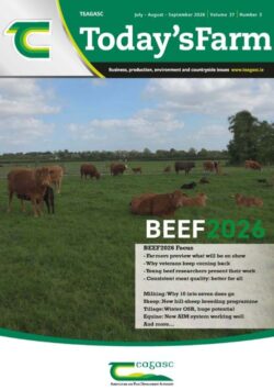 Today’s Farm July – August – September 2026