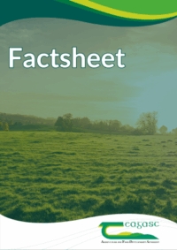 Oats: A high performing native grain