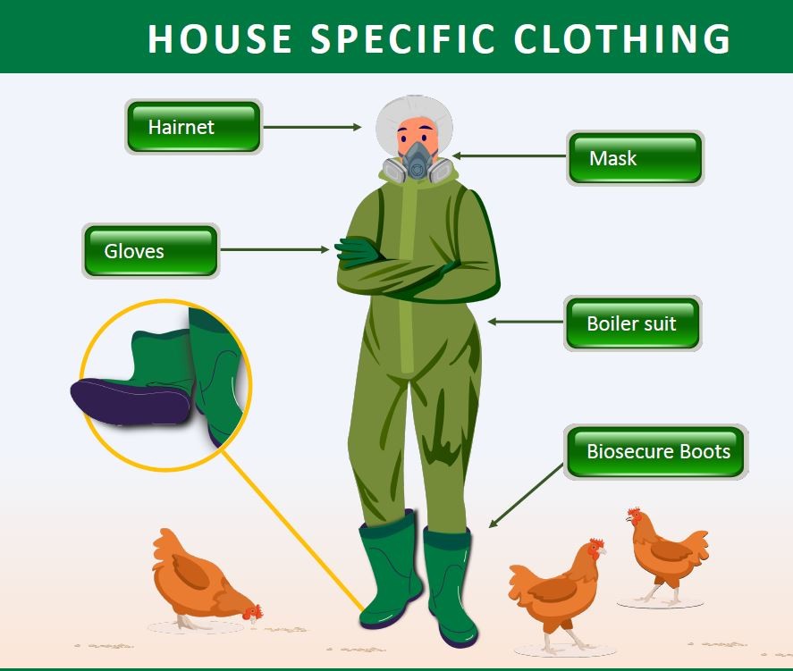 graphic giving examples of house specific clothing - mask, boiler suit, biosecure boots, gloves, hairnet