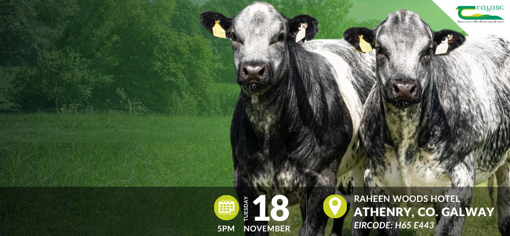 National Beef Conference