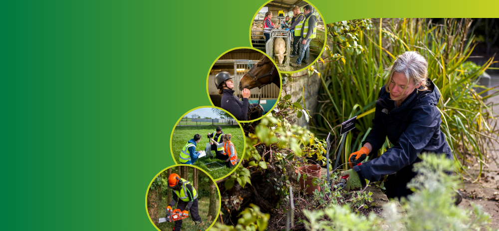 Teagasc College Open Days