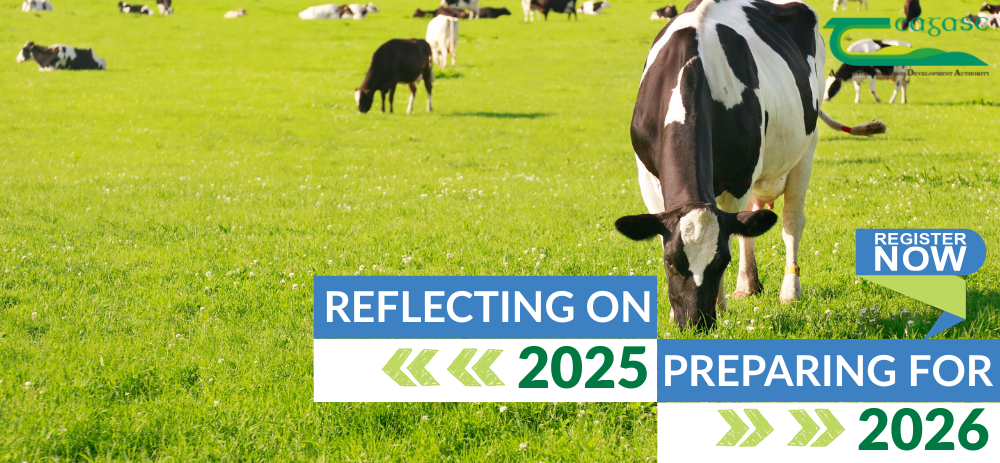 Dairy Farming Insights