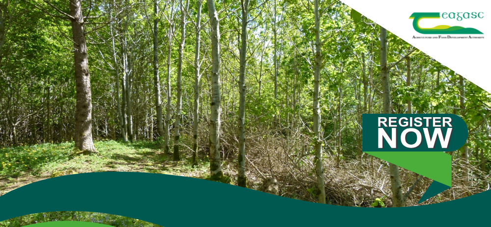 Forestry One to One Clinics