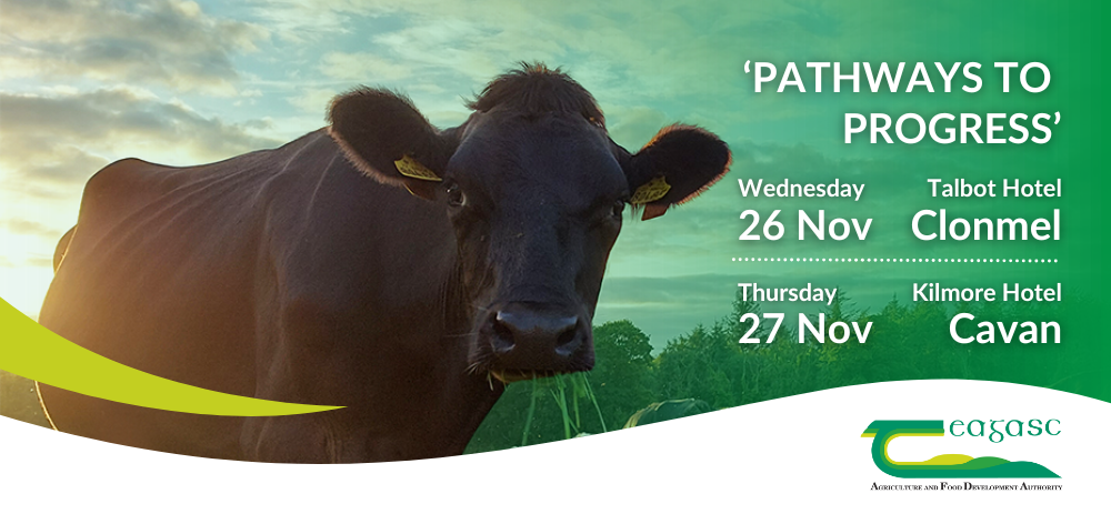 National Dairy Conference