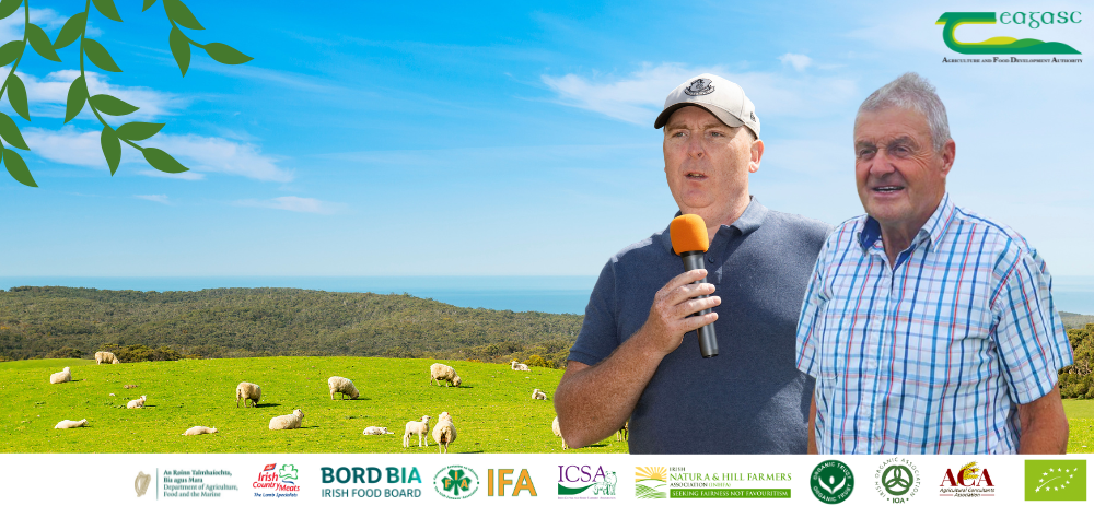 Organic Lamb Finishing Events