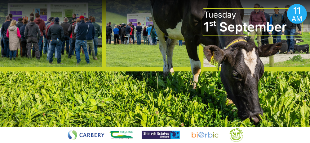 Shinagh Dairy Farm Open Day