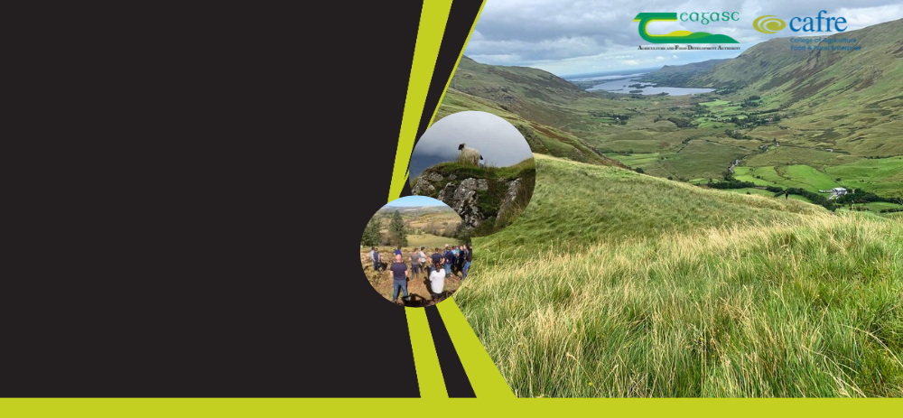 Uplands Symposium