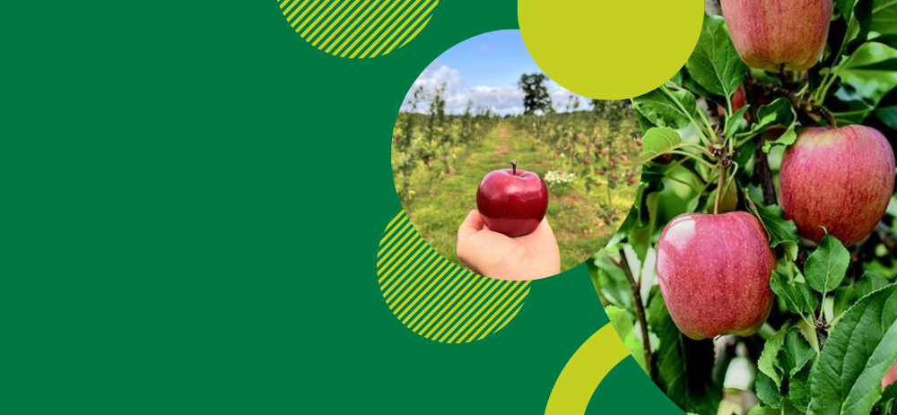 Apple Research Update Event