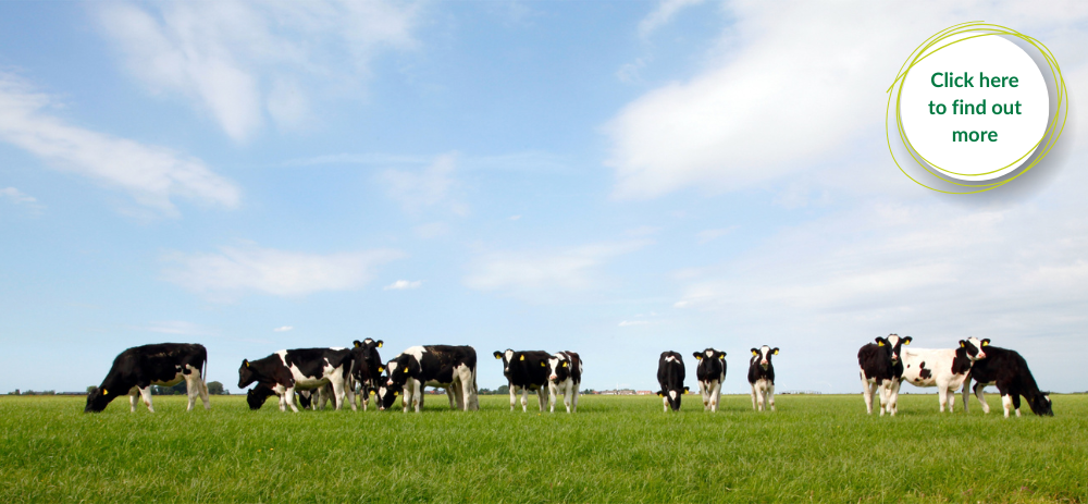 Farm Enterprise Factsheets and Dashboards
