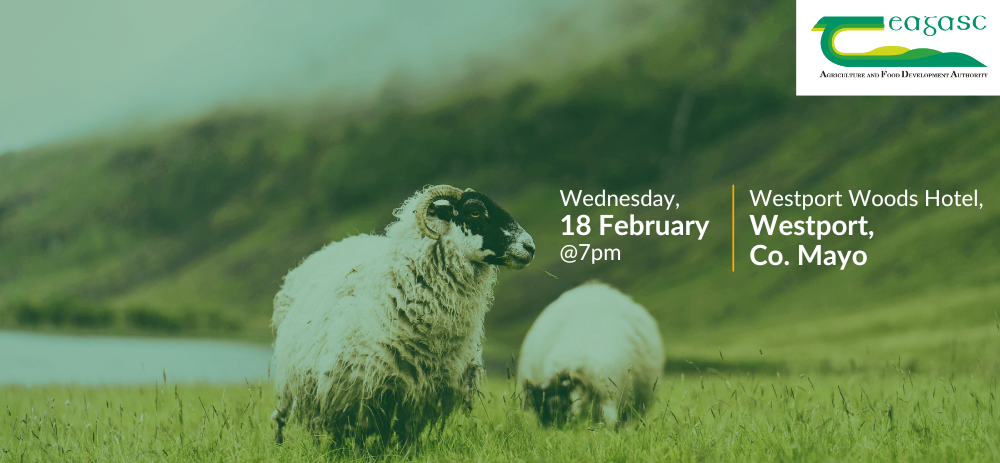 Hill Sheep Conference