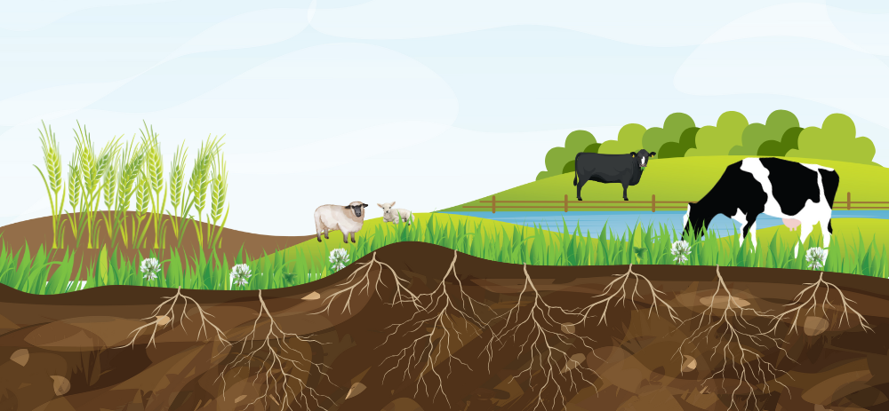 Soil Health Week
