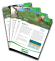 Teagasc Pig Newsletter – June 2025