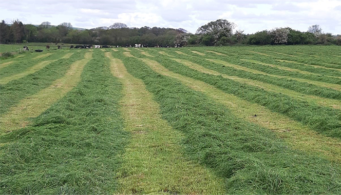 Answering the key questions on silage 2026