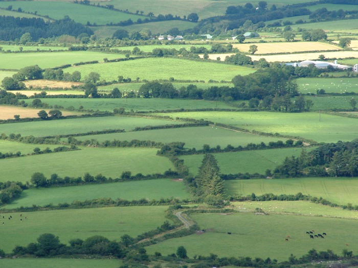 Sustainability performance of Irish farms in 2024 revealed