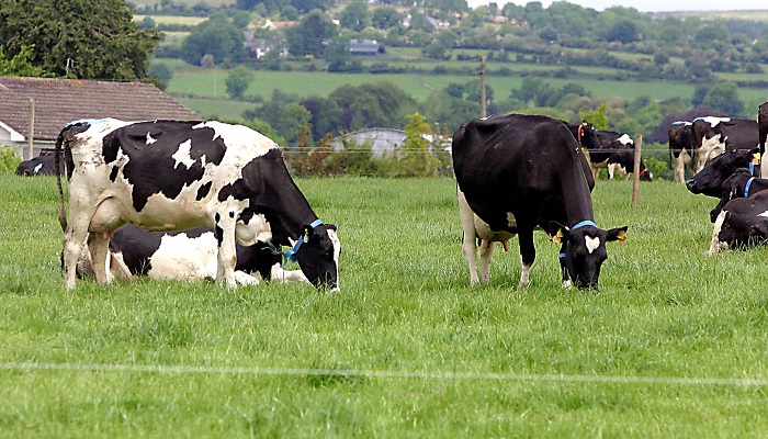 Cover image for Importance of water supply during warm weather article