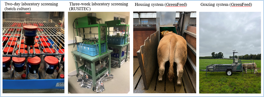 Laboratory methods (Batch culture and RUSITEC) for screening methane emissions from the fermentation of feed, and GreenFeed units for measuring methane emissions from cattle indoors and grazing, at Teagasc Grange.