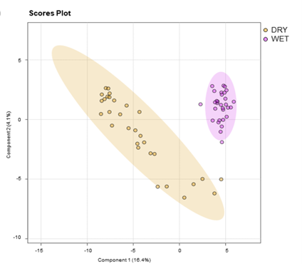 Partial least squares-discriminant analysis (PLS-DA) score plot according to aging method – dry vs wet 