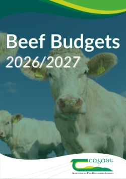 Teagasc Beef Budgets 2026/2027