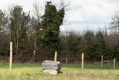 water trough in field