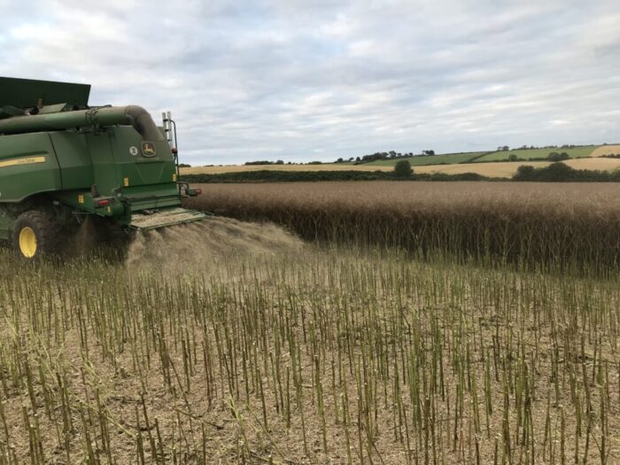 Winter oilseed rape: The star performer this harvest